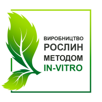 Павловния